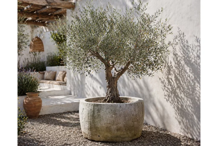 antique planter