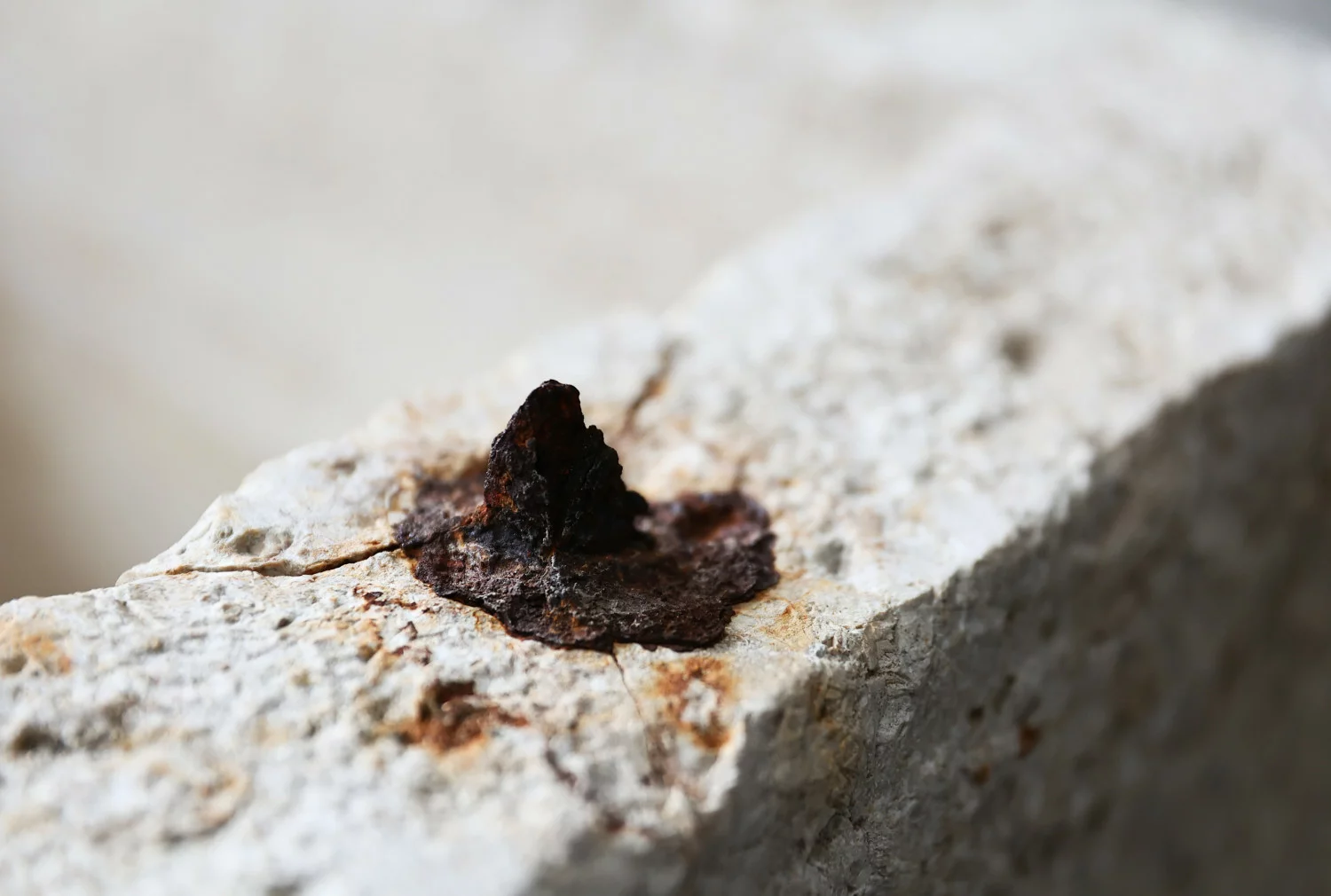 old trough of french limestone