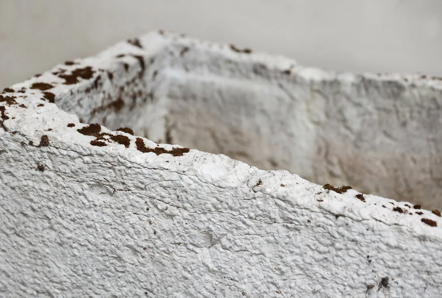 old trough of french limestone