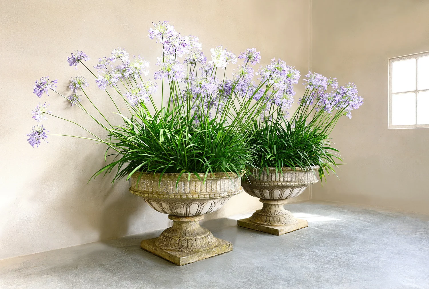 old vases of french limestone