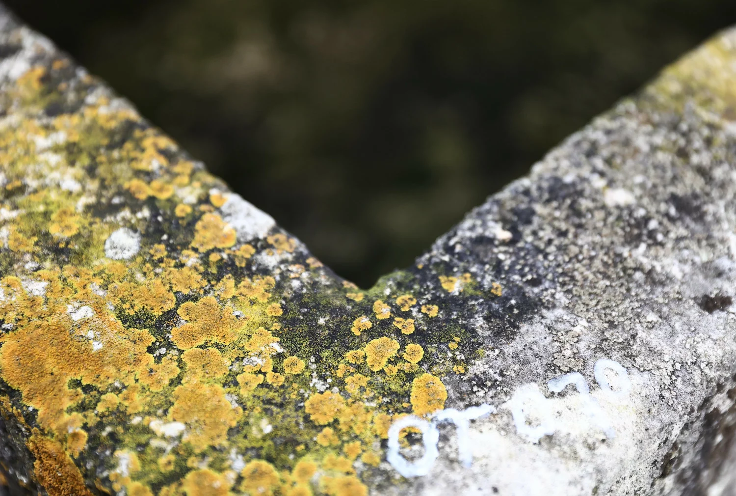 reclaimed building materials