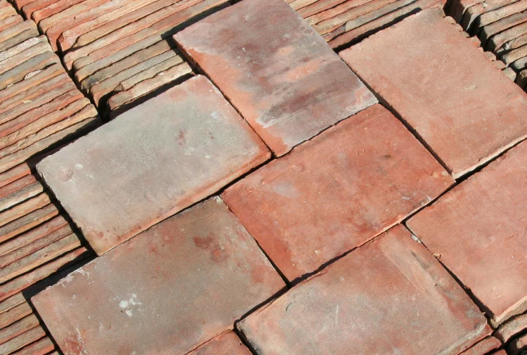 red nuanced parfeuilles