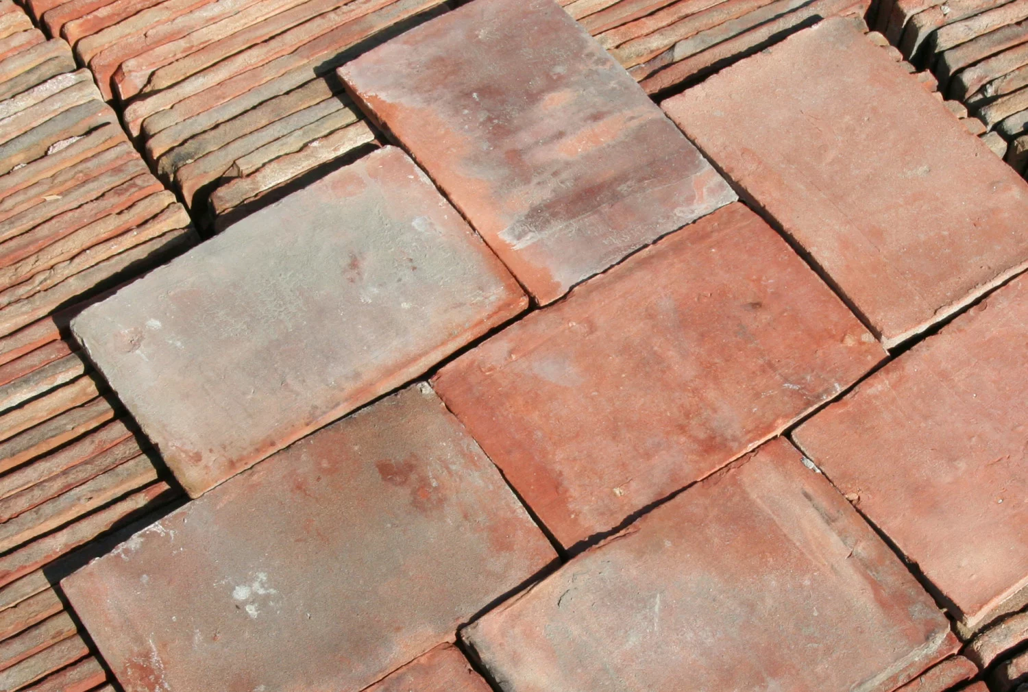 red nuanced parfeuilles