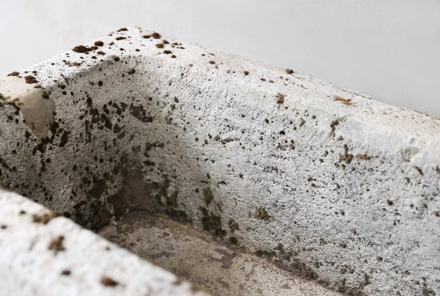 antique trough of French limestone