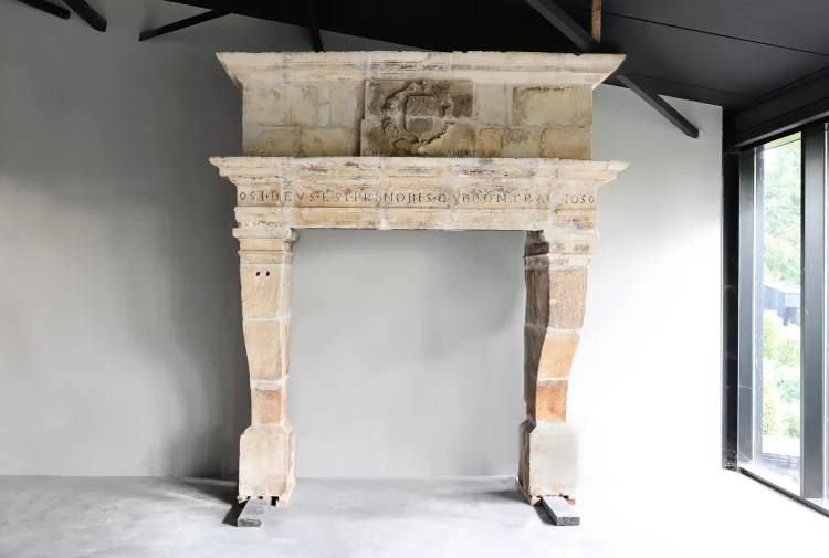 Antique castle fireplace