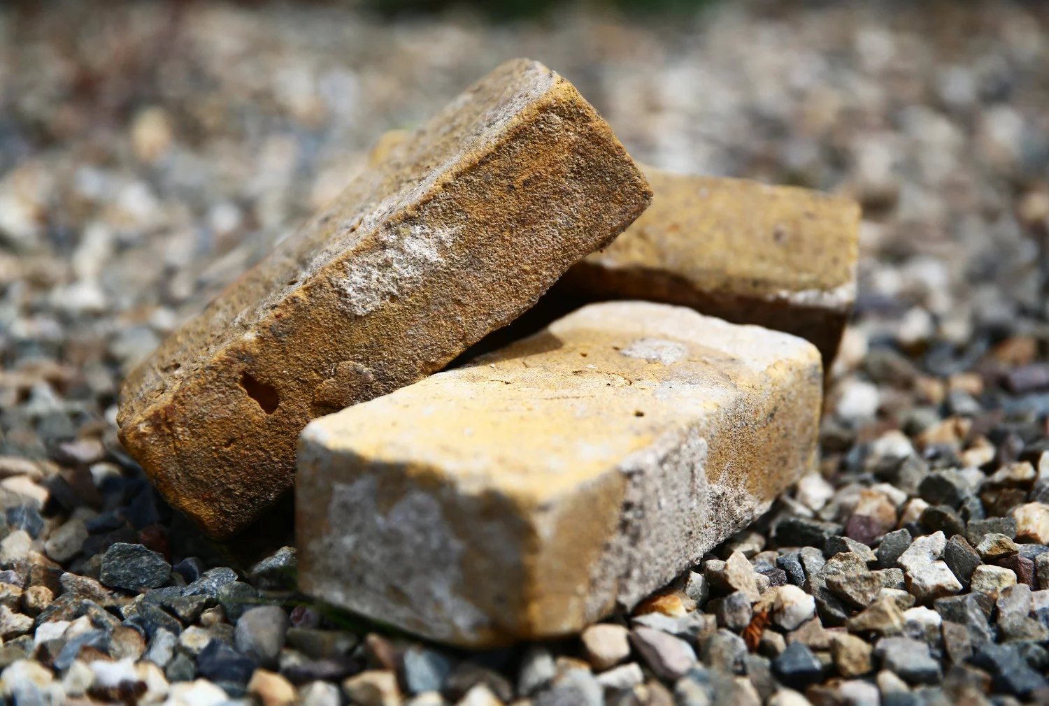 new bricks from the IJssel 