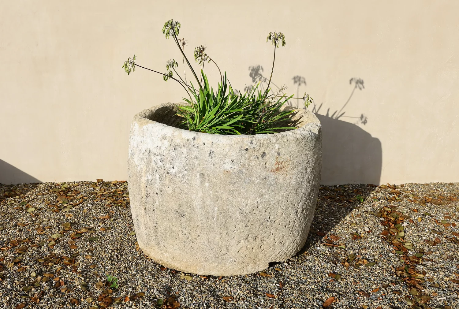 19th century trough