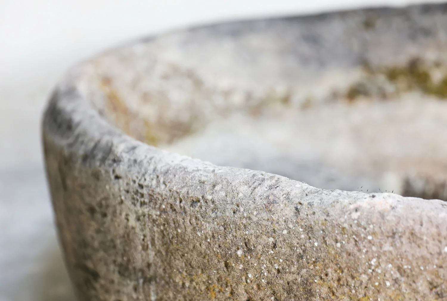 19th century planter