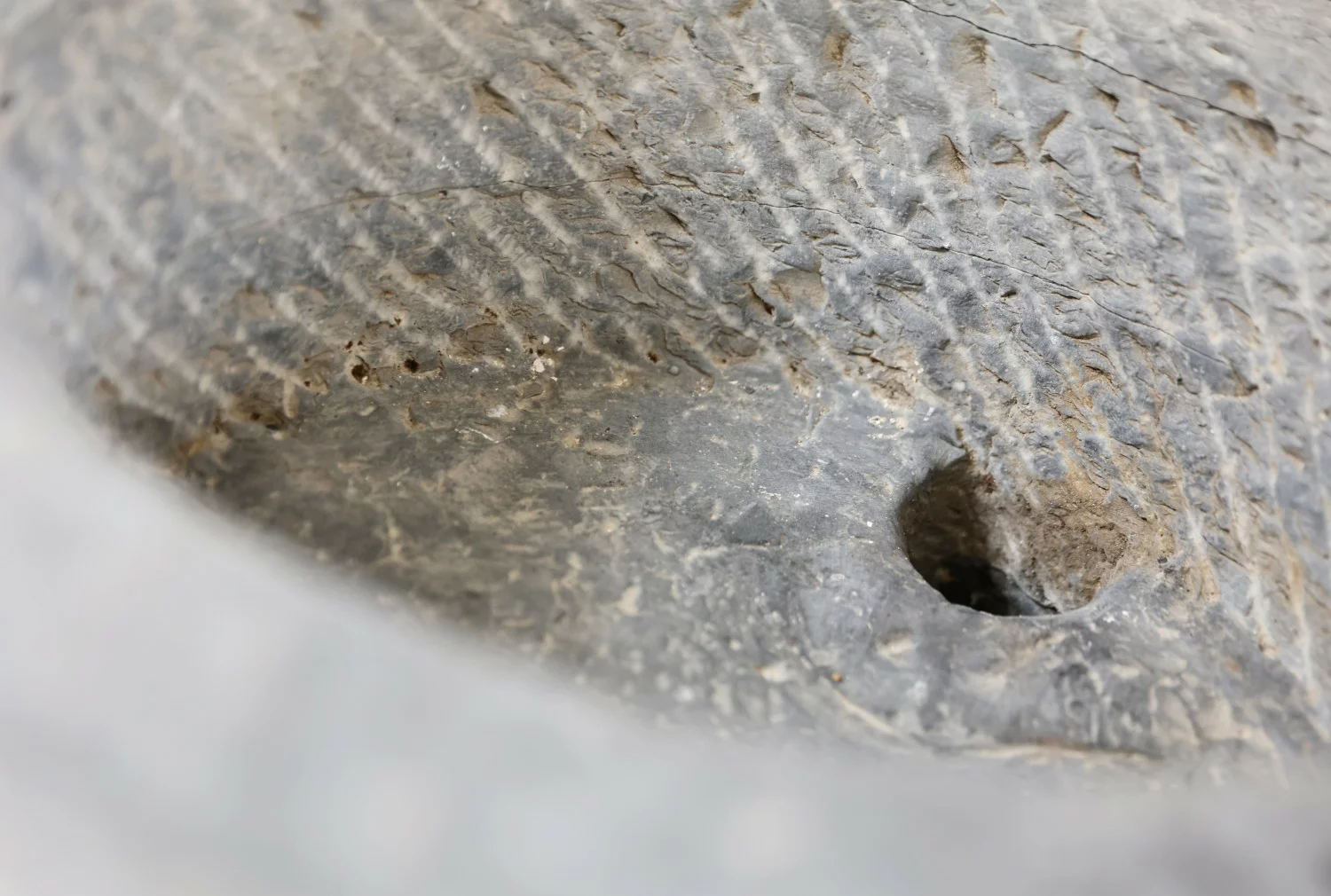 19th century wash basin