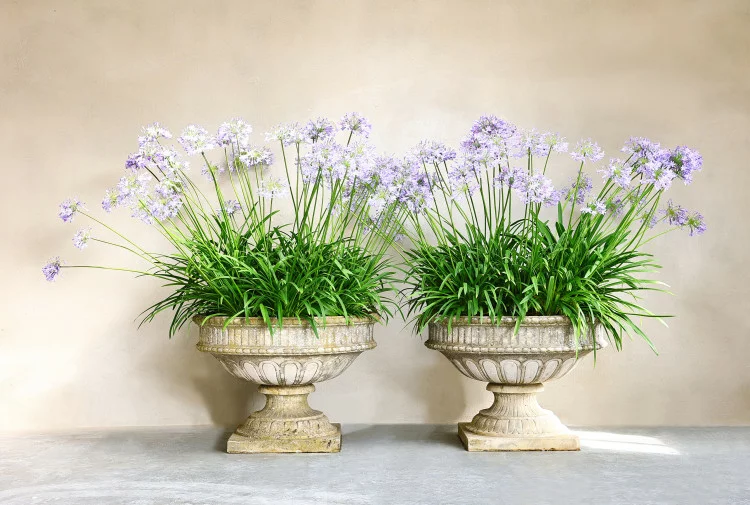 antique set of vases