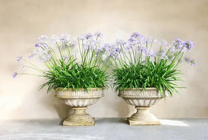 antique set of vases